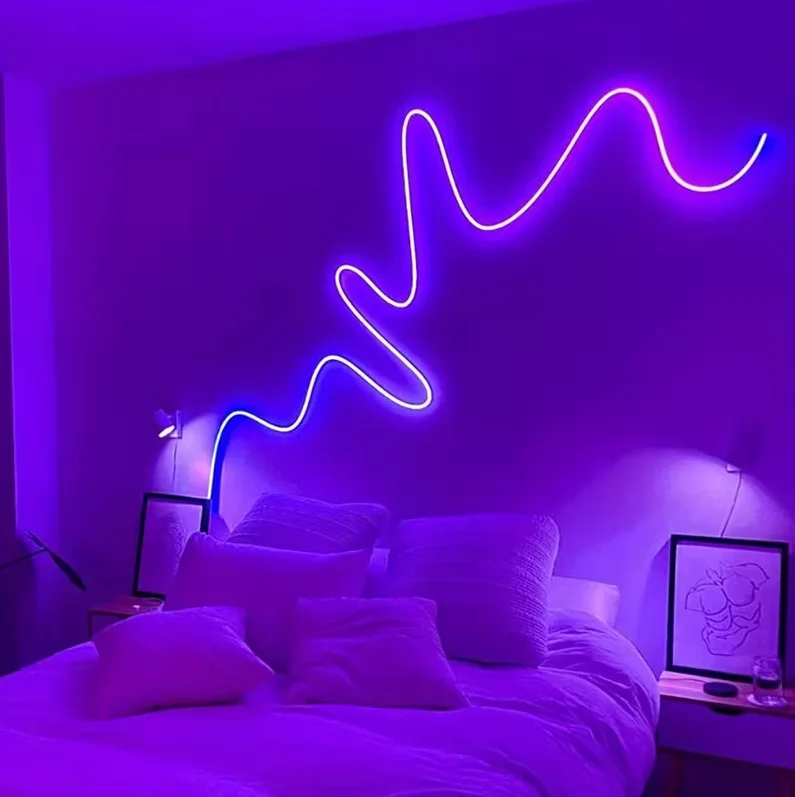 Ruban Lumineux Néon RGB Flexible